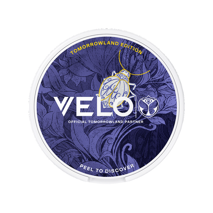 Velo Tomorrowland LTD Mini 2026